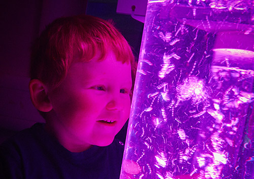 little boy in the sensory room